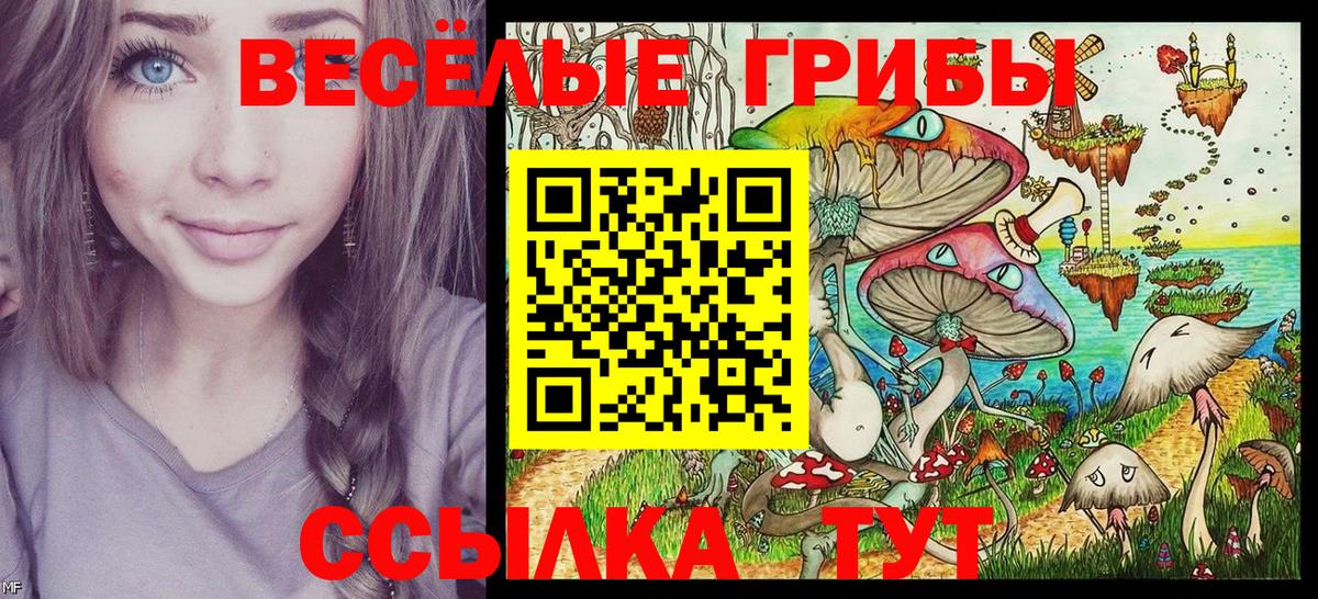 Галлюциногенные грибы Psilocybine cubensis  Вход с VPN  Псилоцибиновые грибы Magic Shrooms  Домодедово 